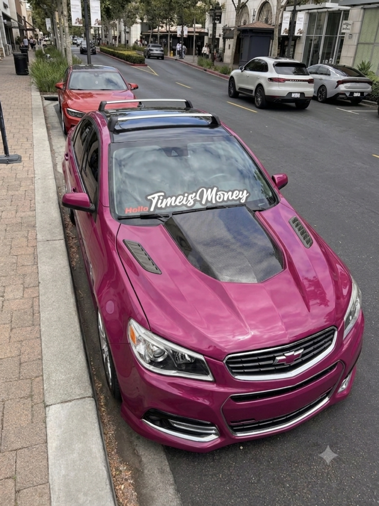 14-17 Chevy SS ZL1 V2 hood