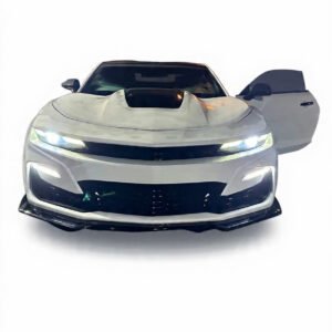 Chevrolet Camaro 10-18 ZR1 hood